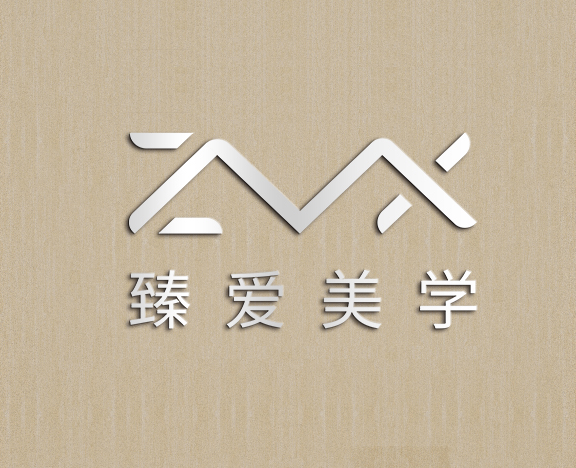 臻爱美学